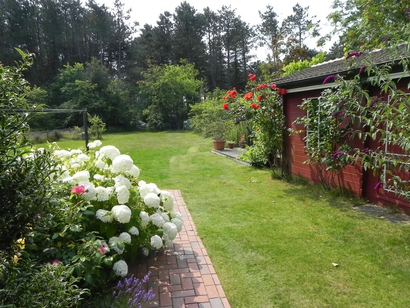 Haus *Üüs Aran* Ferienwohnung *Üüs Aran 1* Süddorf auf Amrum -