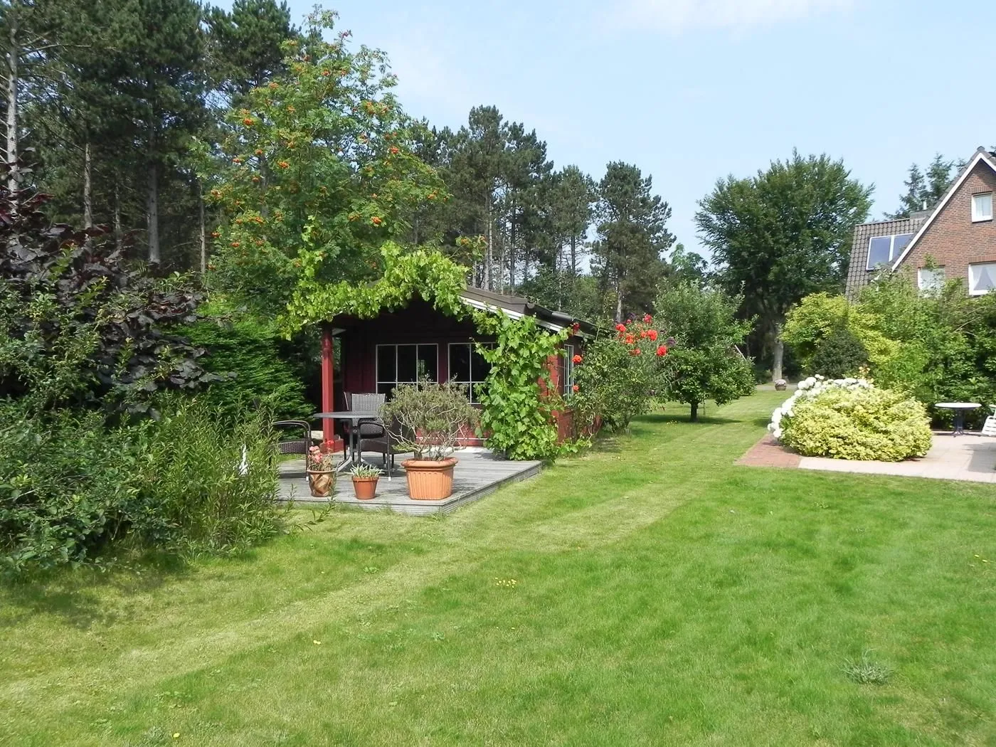 Haus *Üüs Aran* Ferienwohnung *Üüs Aran 1* Süddorf auf Amrum -