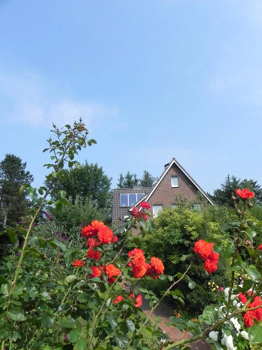 Haus *Üüs Aran* Ferienwohnung *Üüs Aran 1* Süddorf auf Amrum -