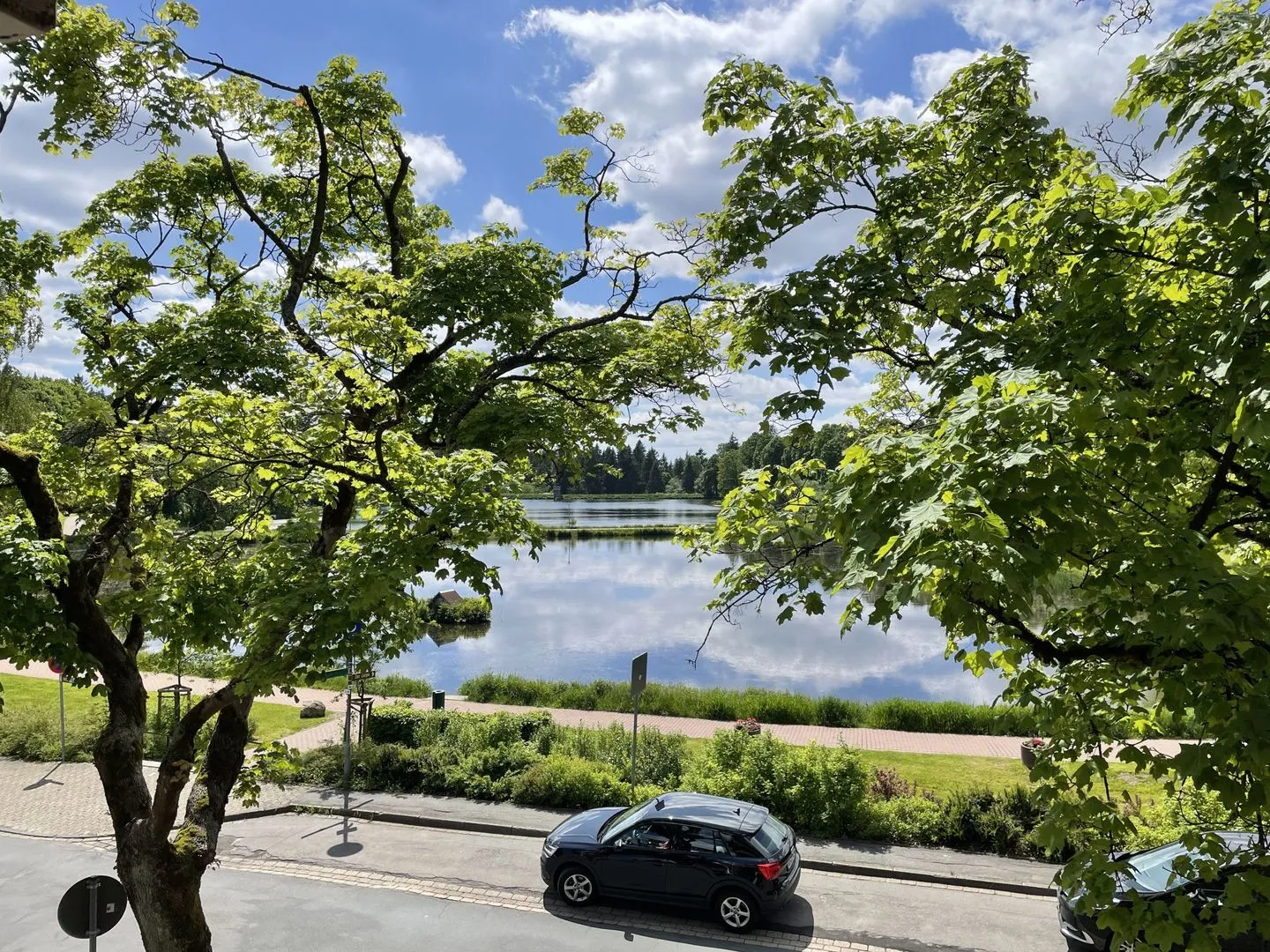 Haus Vier Jahreszeiten am See Kranich Quartier - Hahnenklee -