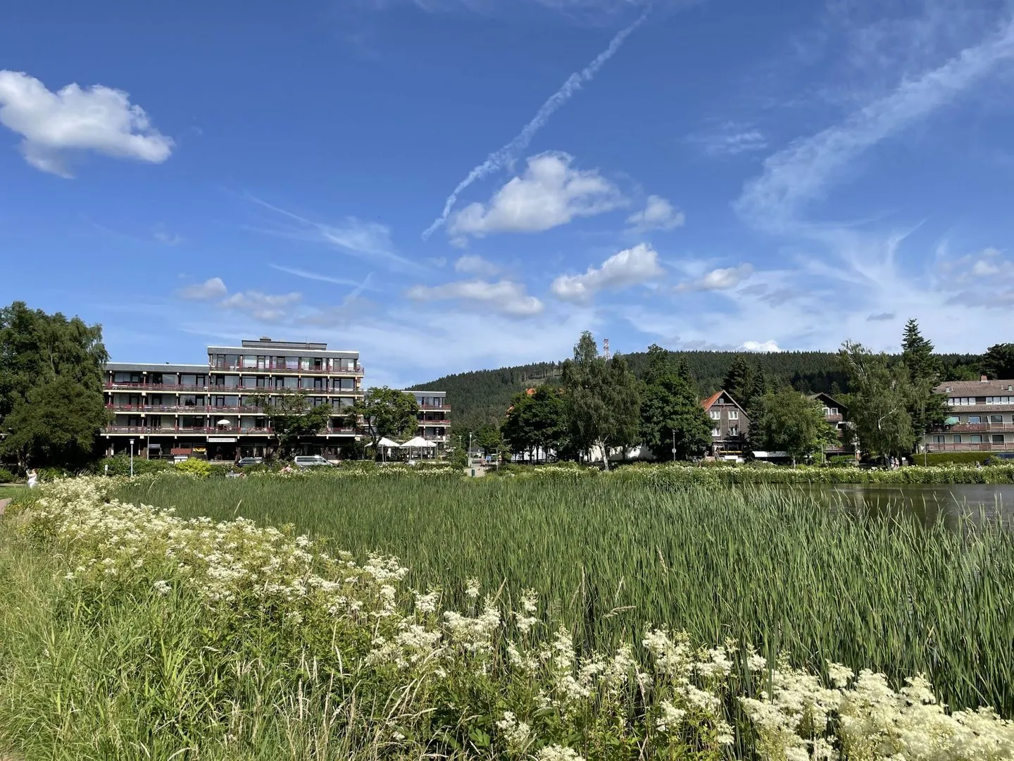 Haus Vier Jahreszeiten am See Kranich Quartier - Hahnenklee -