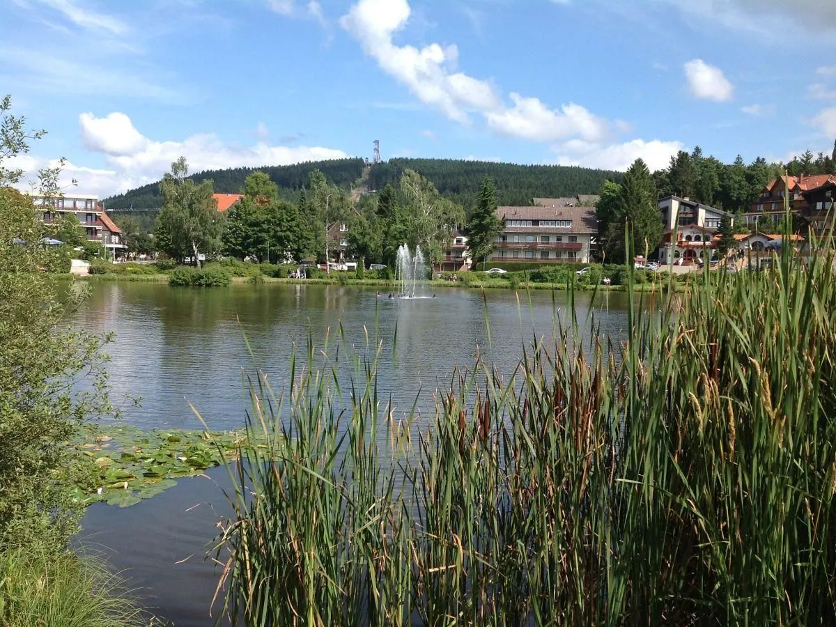 Bocksbergblick Ausspann Hahnenklee - Landschaft