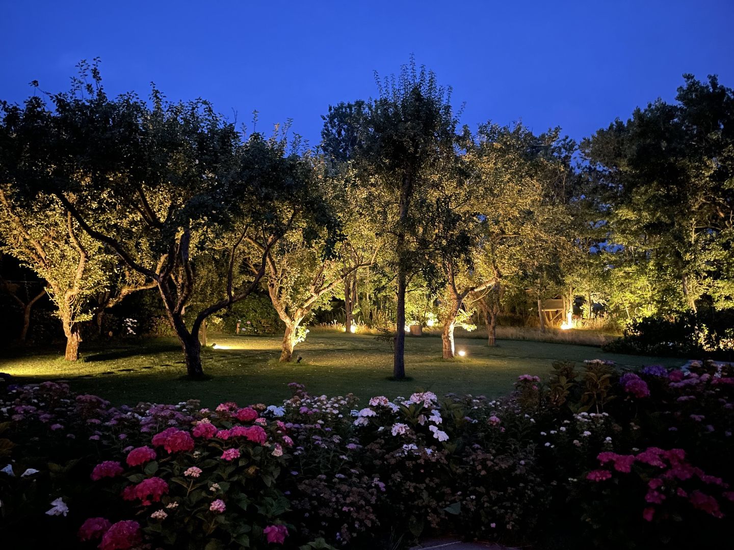  LITZKOW 13305 Morsum - 