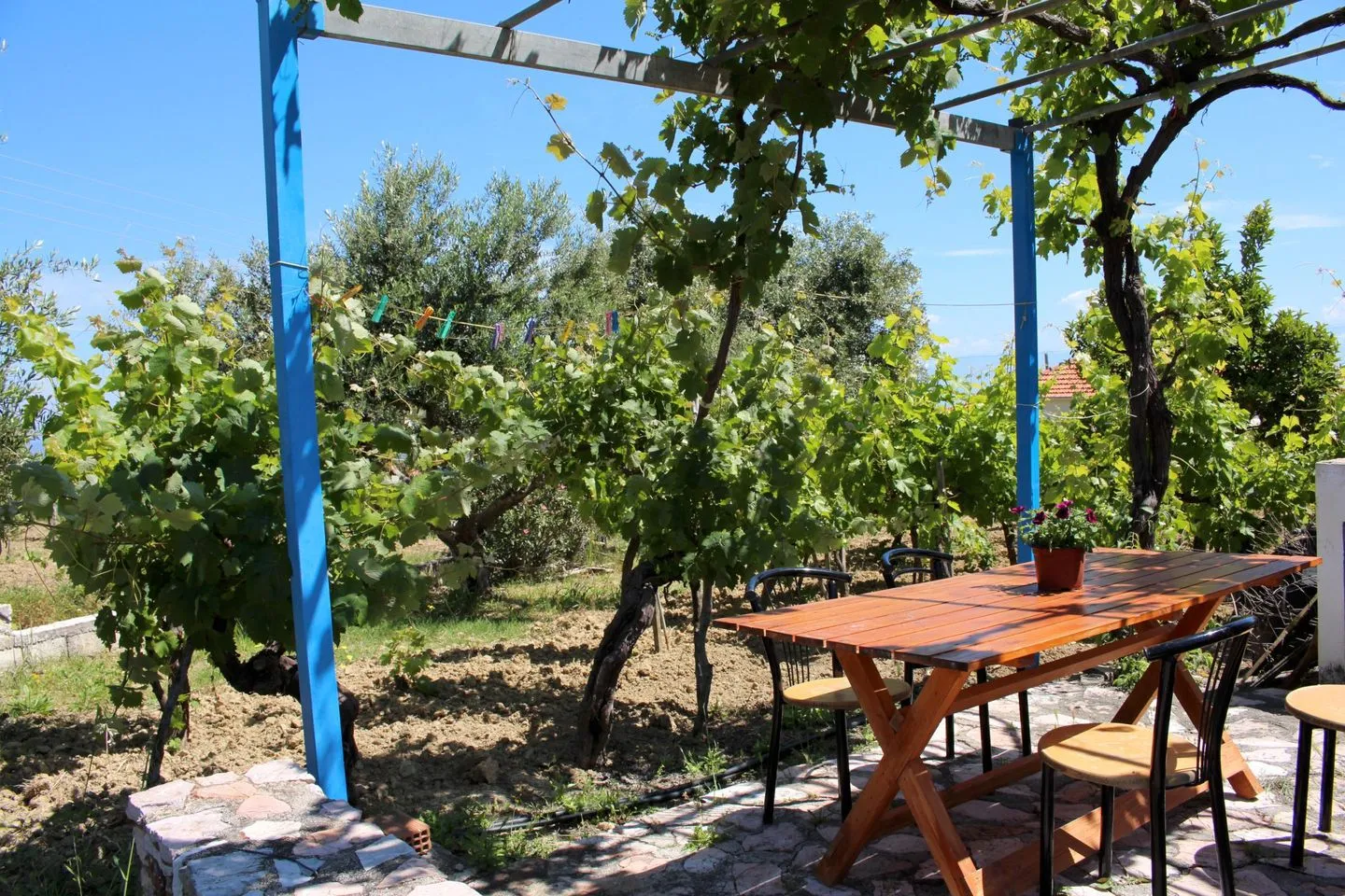  Tassos 1 Aghia Triada - Terrasse