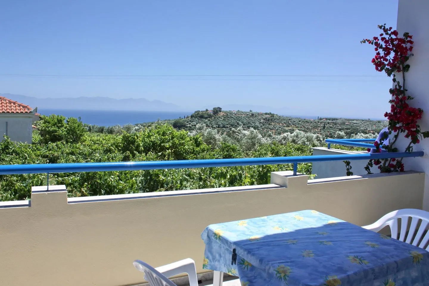  Tassos 1 Aghia Triada - Terrasse