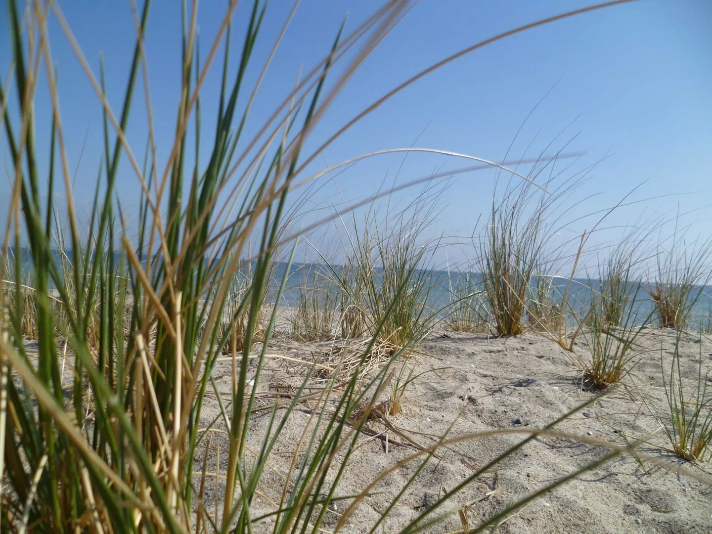 (TRA7) Ferienwohnung "Reichelt" Niendorf - Strand