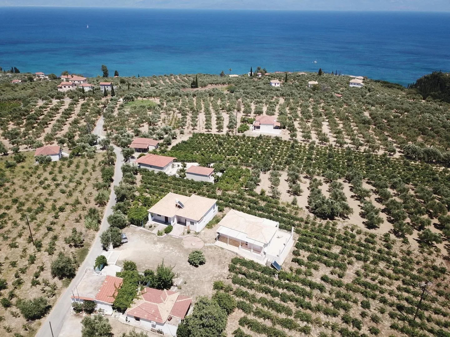  Tassos 2 Aghia Triada - Neighbourhood