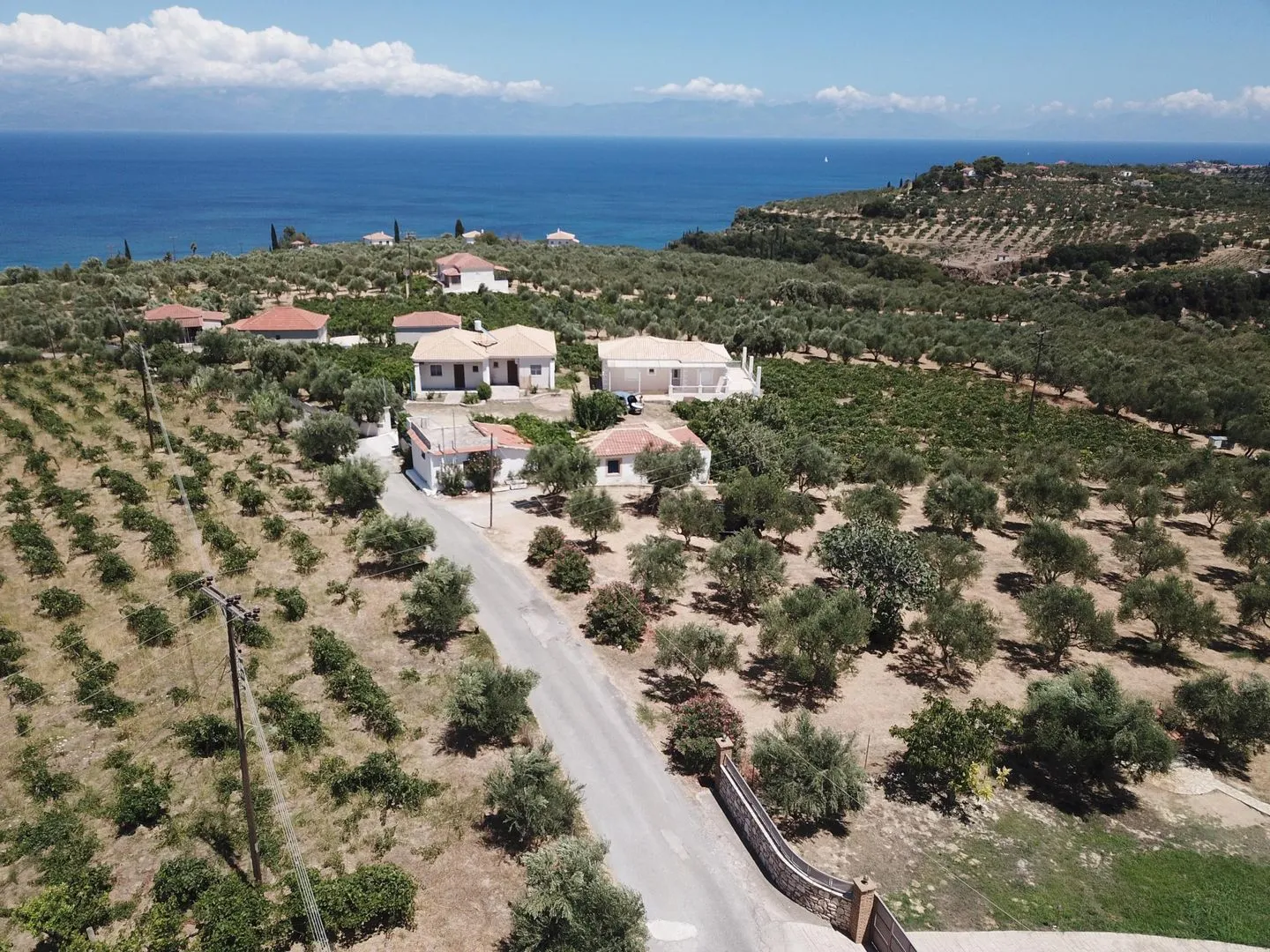  Tassos 2 Aghia Triada - Bird's eye view