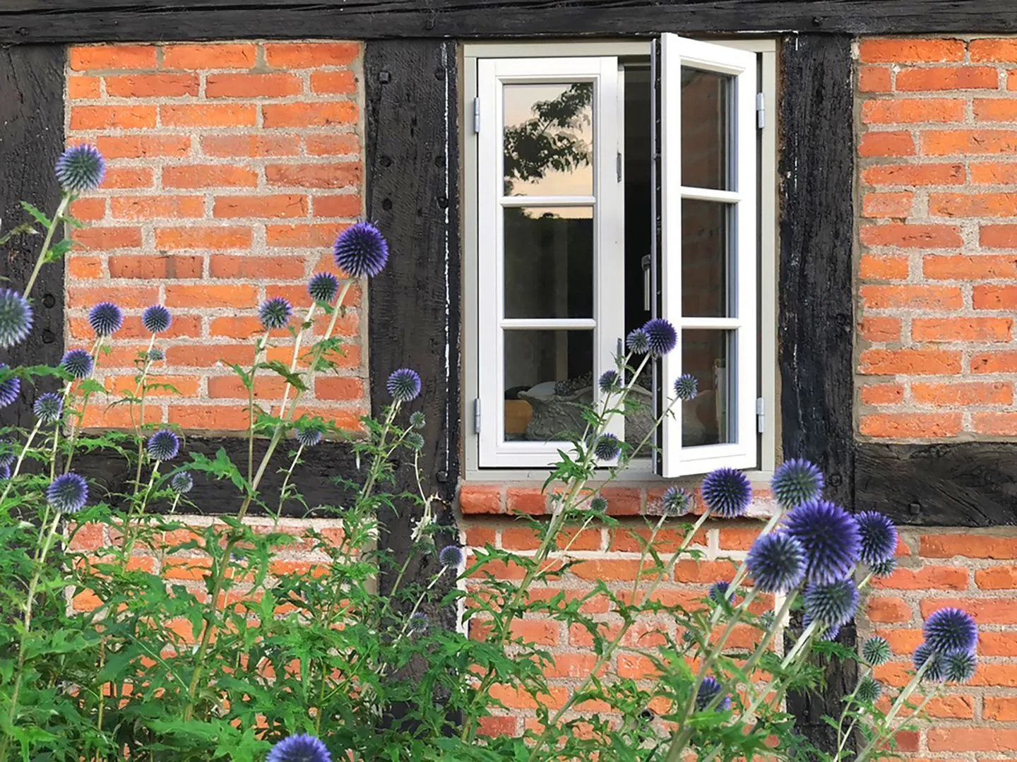 Romantische Ferien unter Reet an der Schlei - Reetdachhaus Frau Schröders - Urlaub in Ostseenähe Schlei - Fassade / Eingang