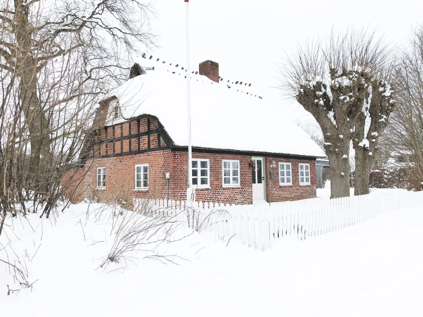 Romantische Ferien unter Reet an der Schlei - Reetdachhaus Frau Schröders - Urlaub in Ostseenähe Schlei - Hauptansicht