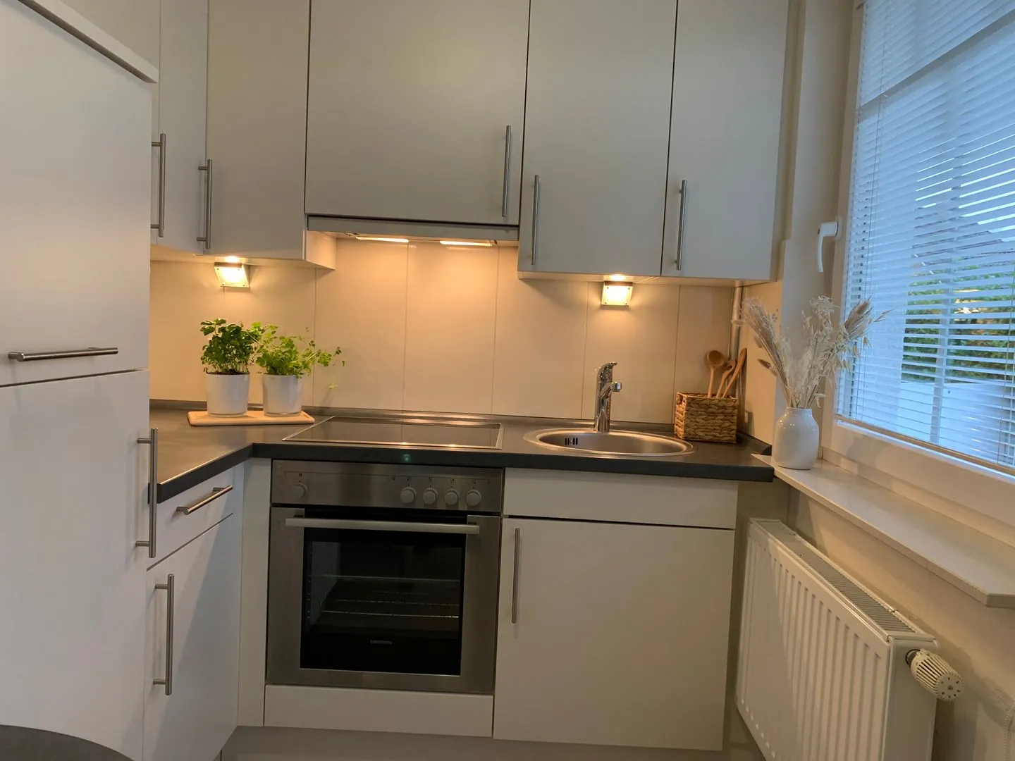 Gemütliche Ferienwohnung Schleistübchen in Fahrdorf für 2 Personen Schlei - Küche / Küchenzeile
