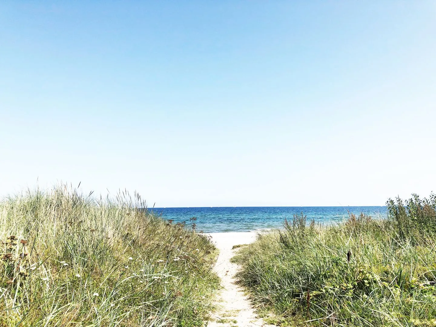 Romantische Ferien unter Reet an der Schlei - Reetdachhaus Frau Schröders - Urlaub in Ostseenähe Schlei - Strand