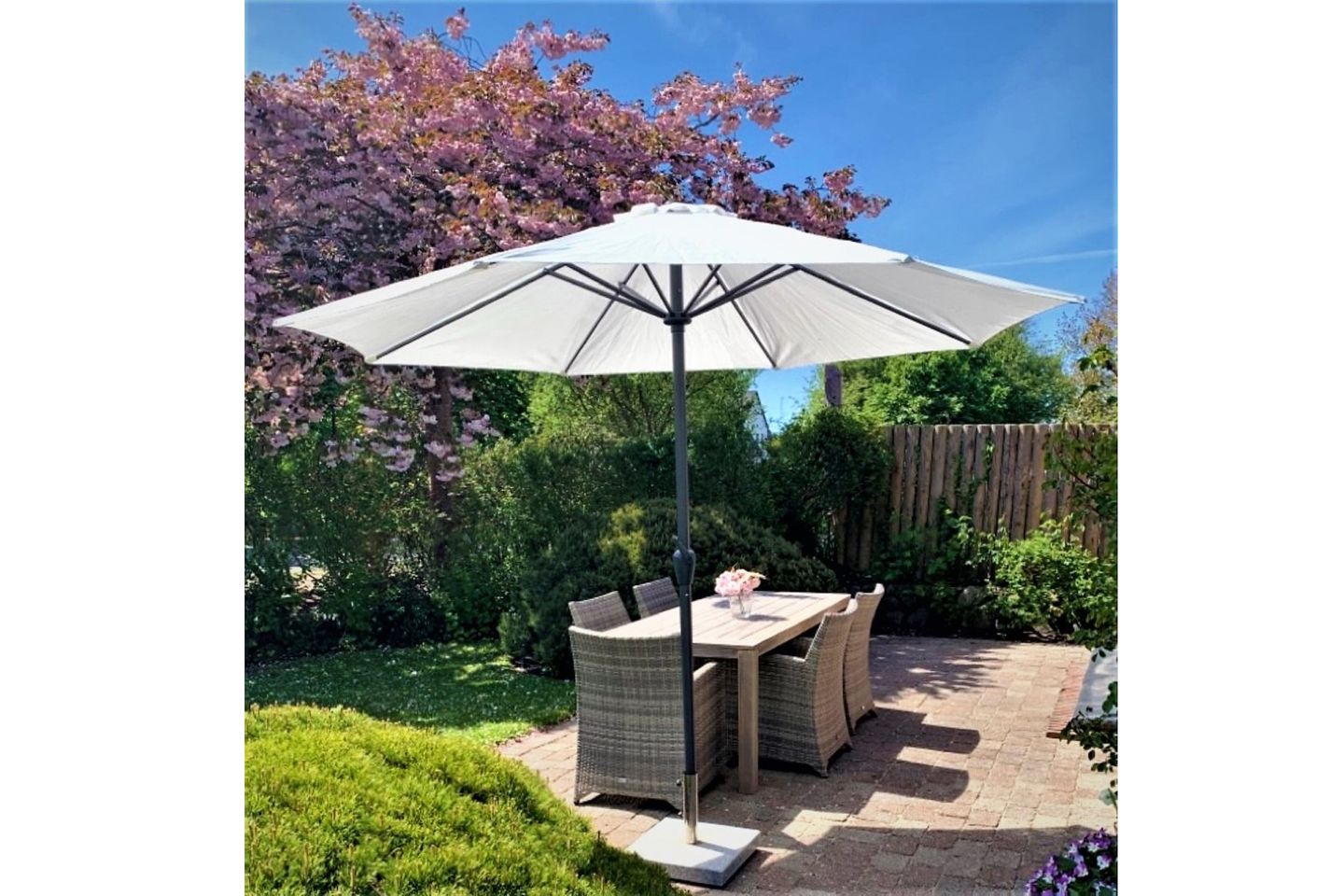 LITZKOW 10805 Morsum -