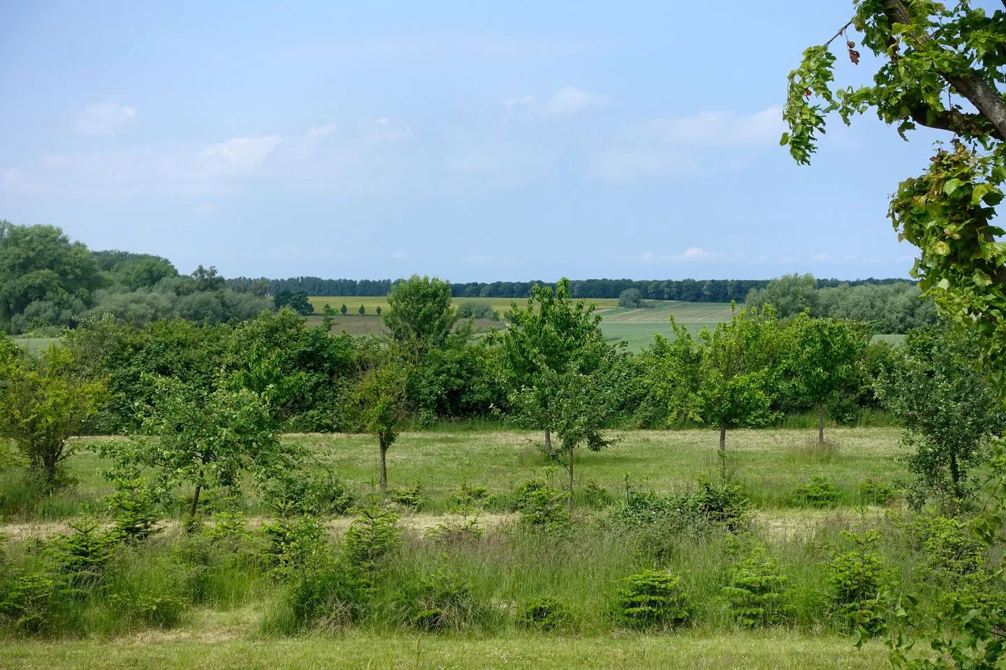 Weiter Blick Neuhof - Gartenblick