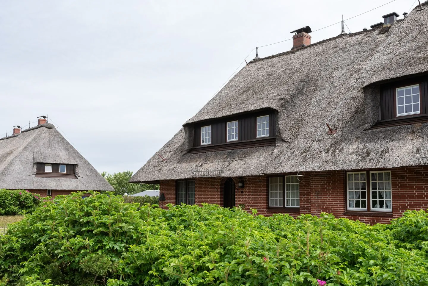 Heide Idyll Braderup - Hauptansicht