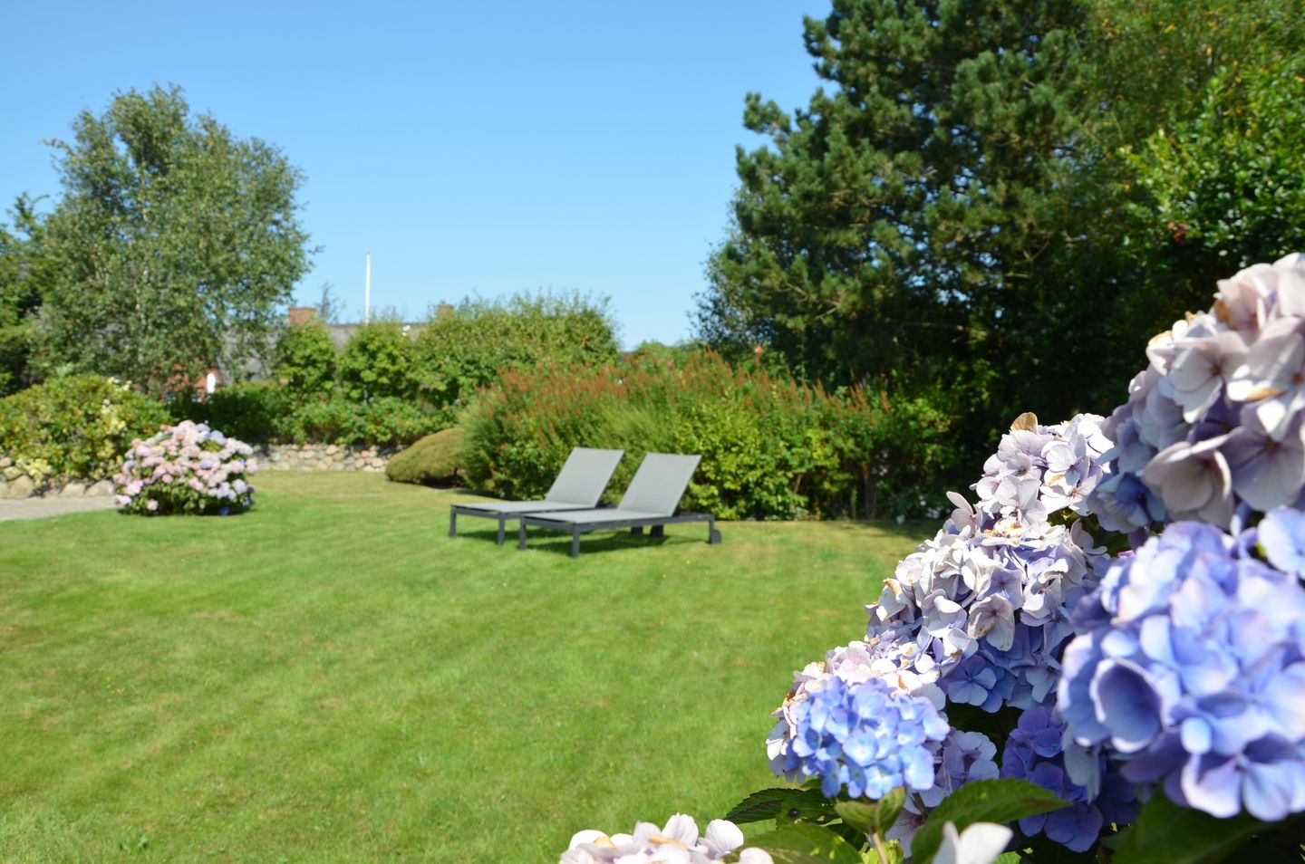 LITZKOW 10805 Morsum -