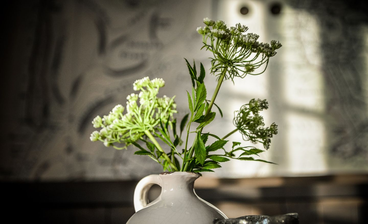  LITZKOW 13907 Morsum - 