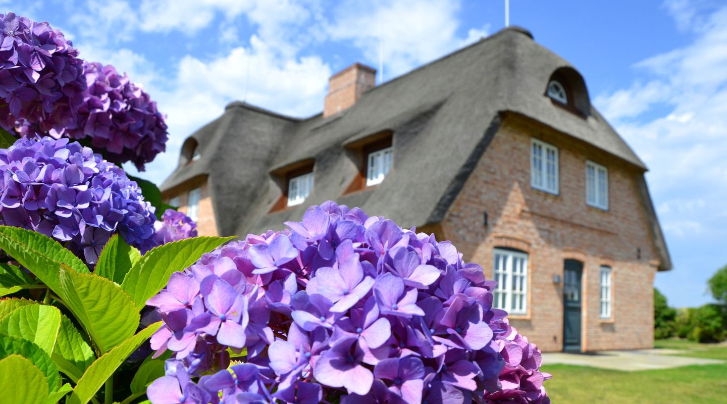 LITZKOW 16203 Archsum - Gartenblick