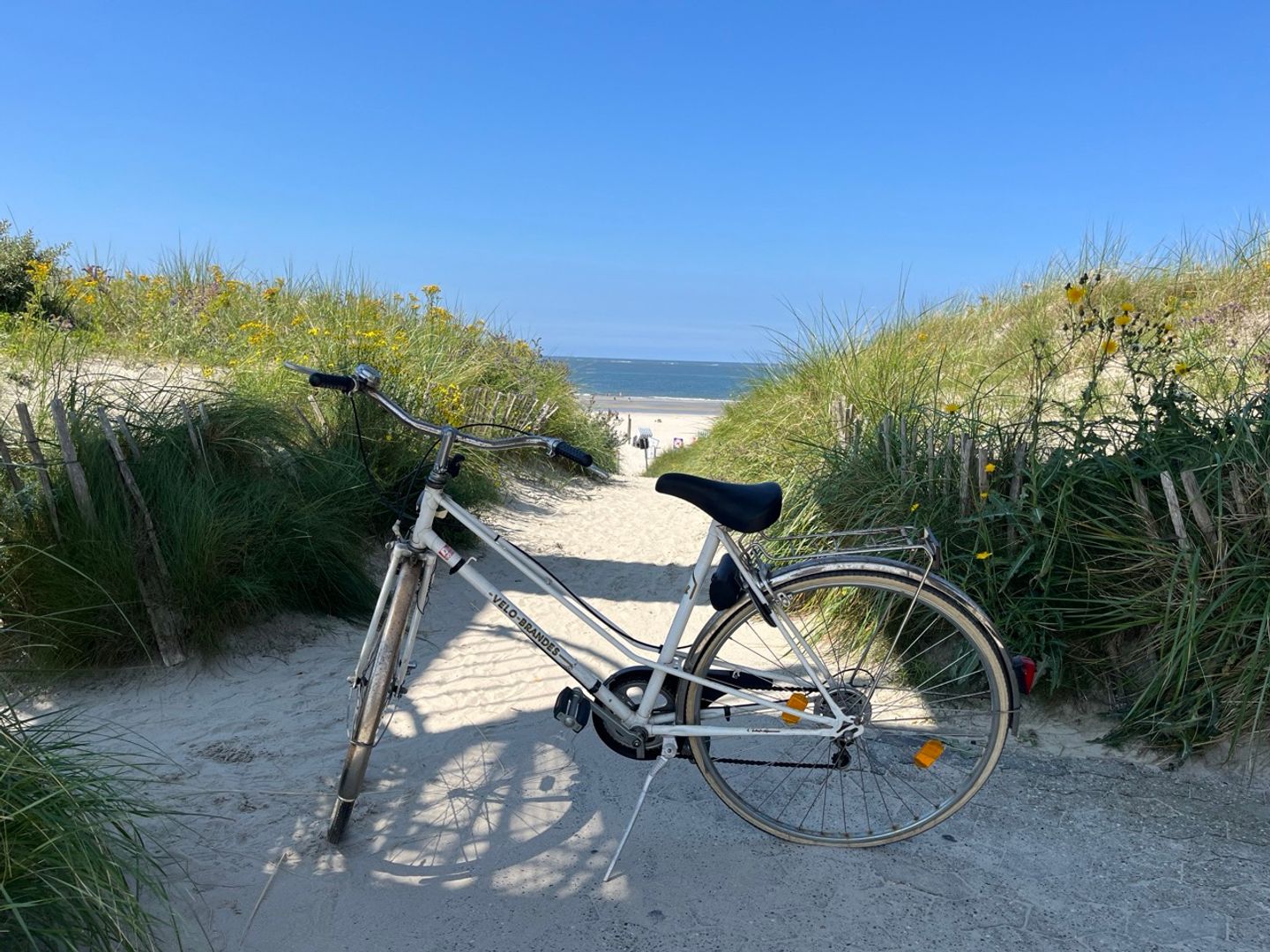 fahrrad.de reklamation erfahrung Gazelle Easyflow C8 anthrazit | 630WH | E-Bike Damen City | 2025 DualColorStampe Aufkleber kompatibel mit Category:Rennräder_Aluminium 6061 T4/T6 Superlite Farbe:matt grey´n´black
