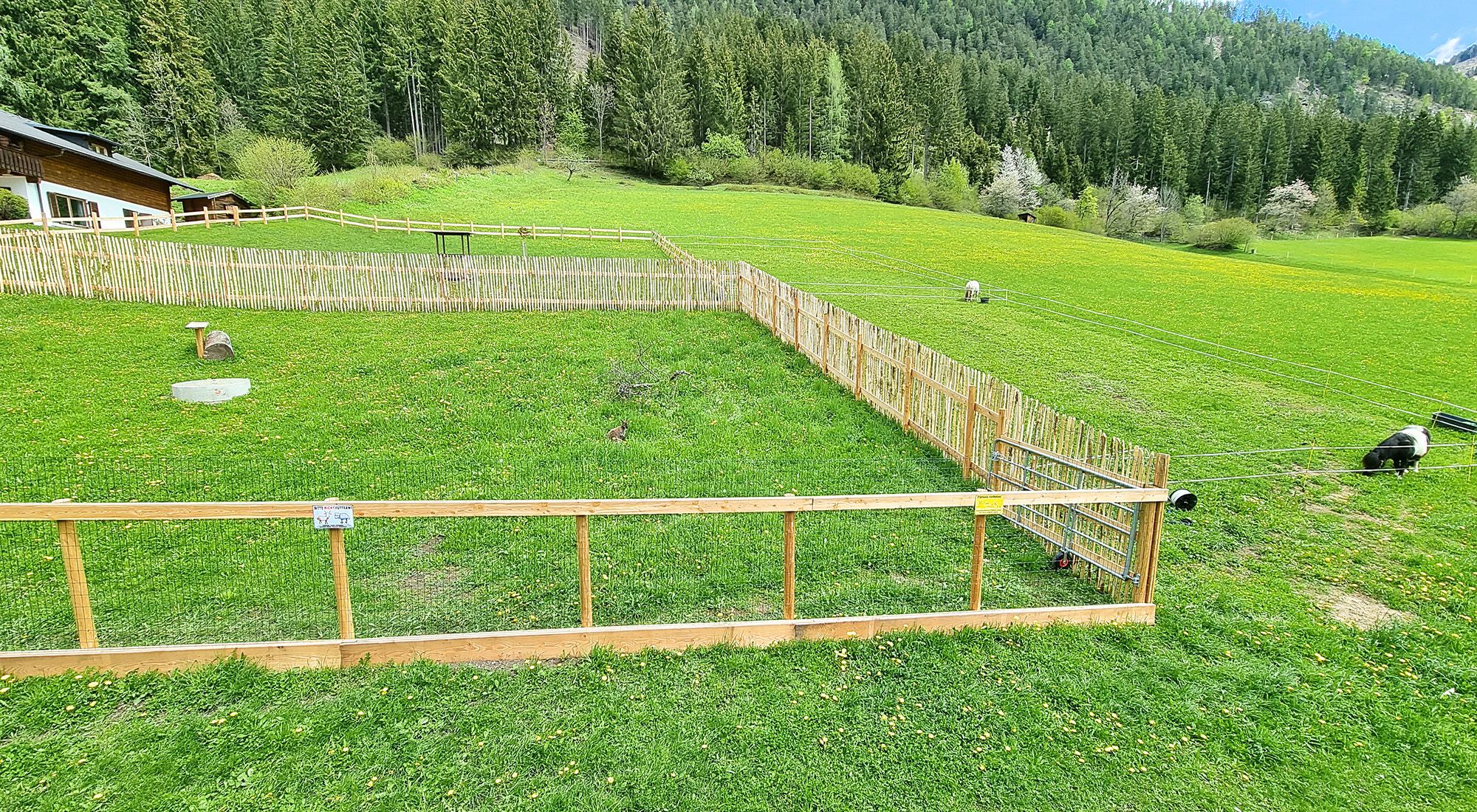 Seewiesen Hütte | Weissensee | Kärnten Weissensee -