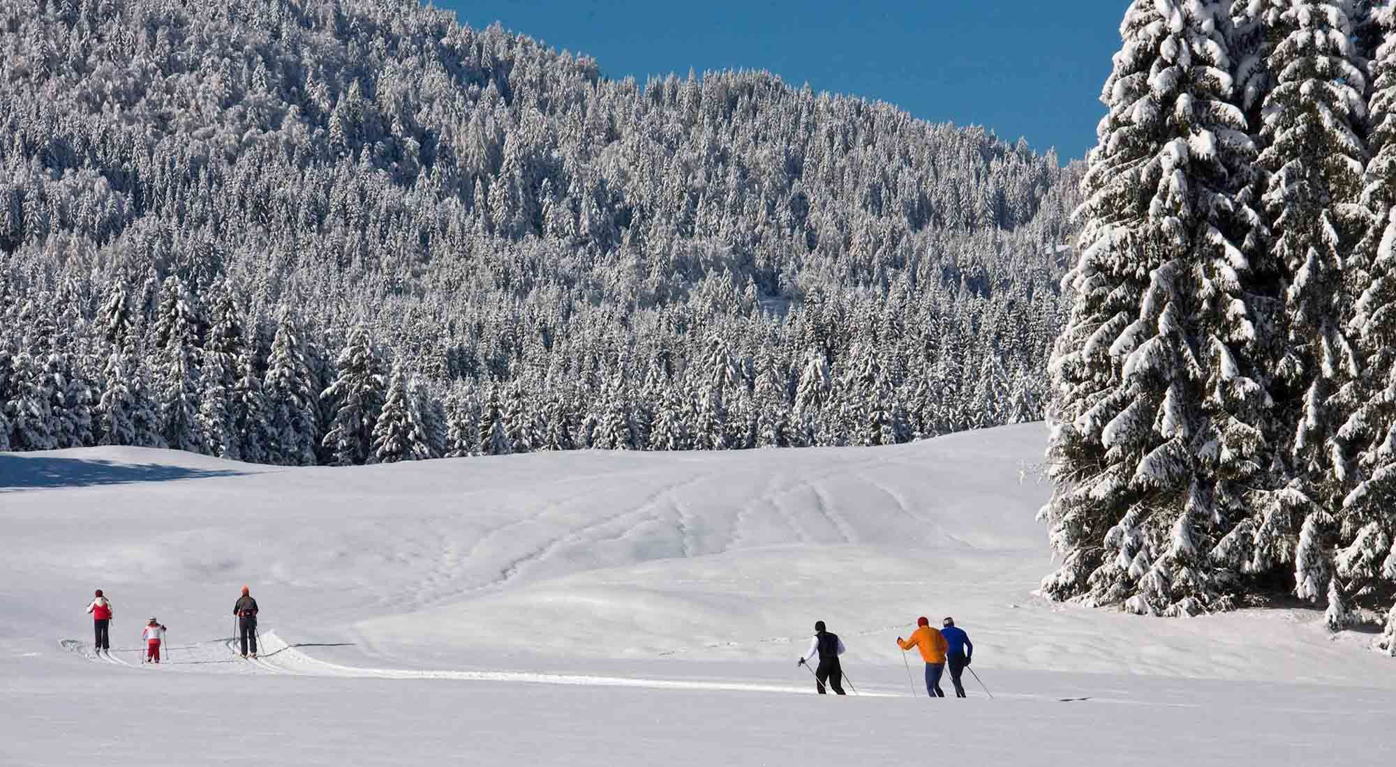 Chalet Seeliebe | Weissensee | Kärnten Weissensee -