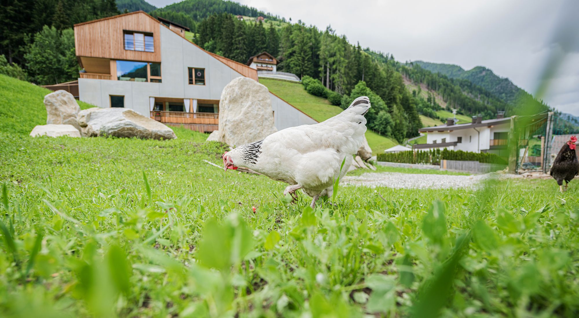 Koasa Gruppenhaus | Ahrntal | Südtirol Südtirol - 