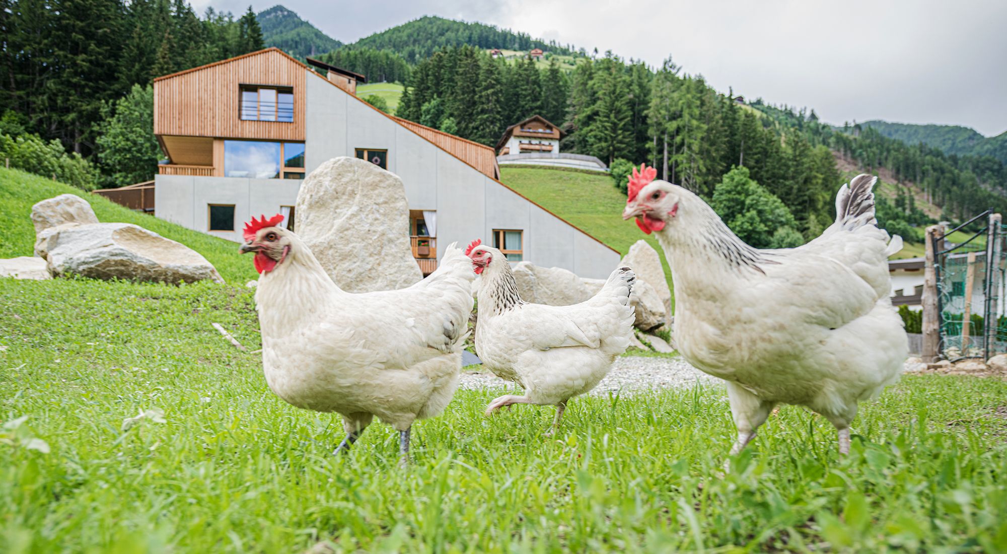  Koasa Gruppenhaus | Ahrntal | Südtirol Südtirol - 