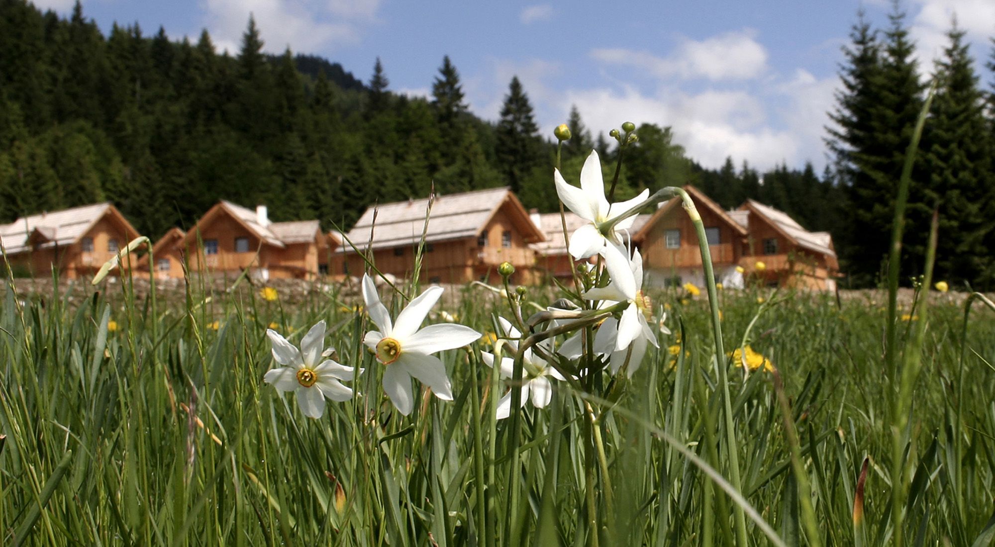  Hagan Lodge Comfort 2 | Salzkammergut | Steiermark Salzkammergut - 