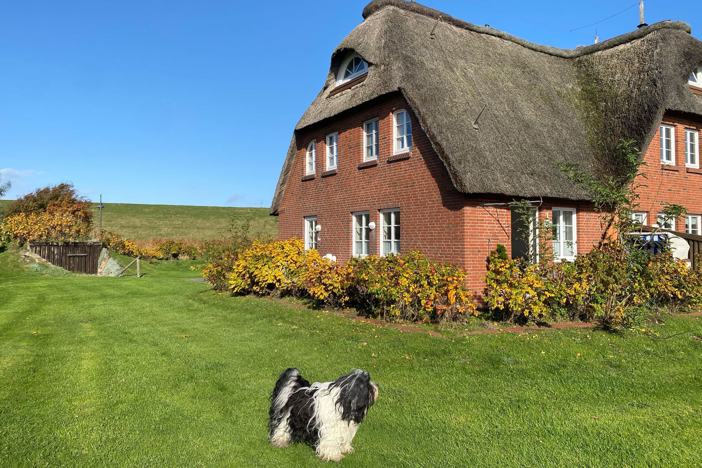 Reethus Achtern Diek