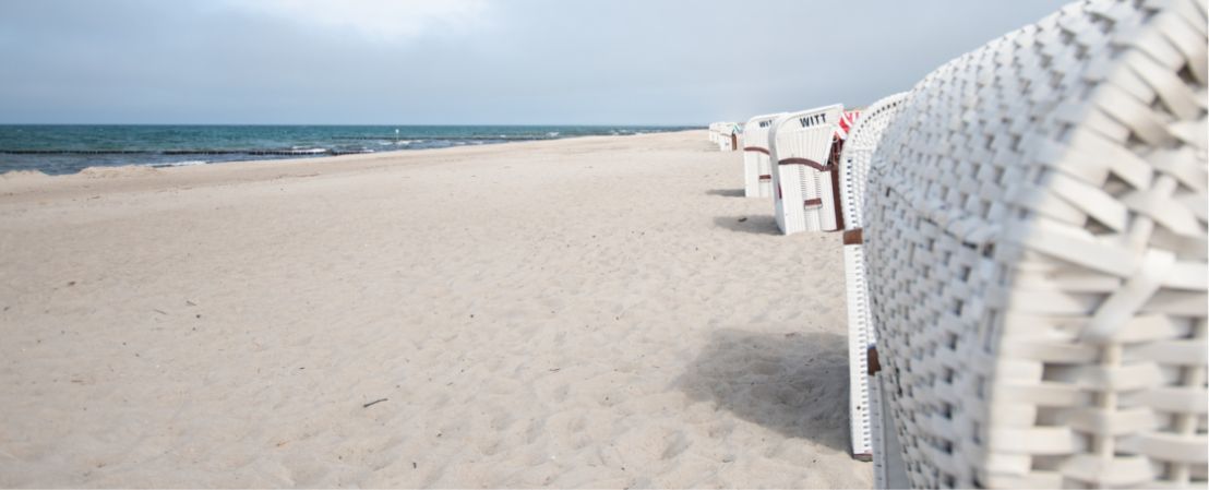 Das Naturparadies an der Ostsee