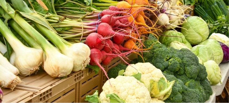 Bauernmärkte mit regionalen Produkten