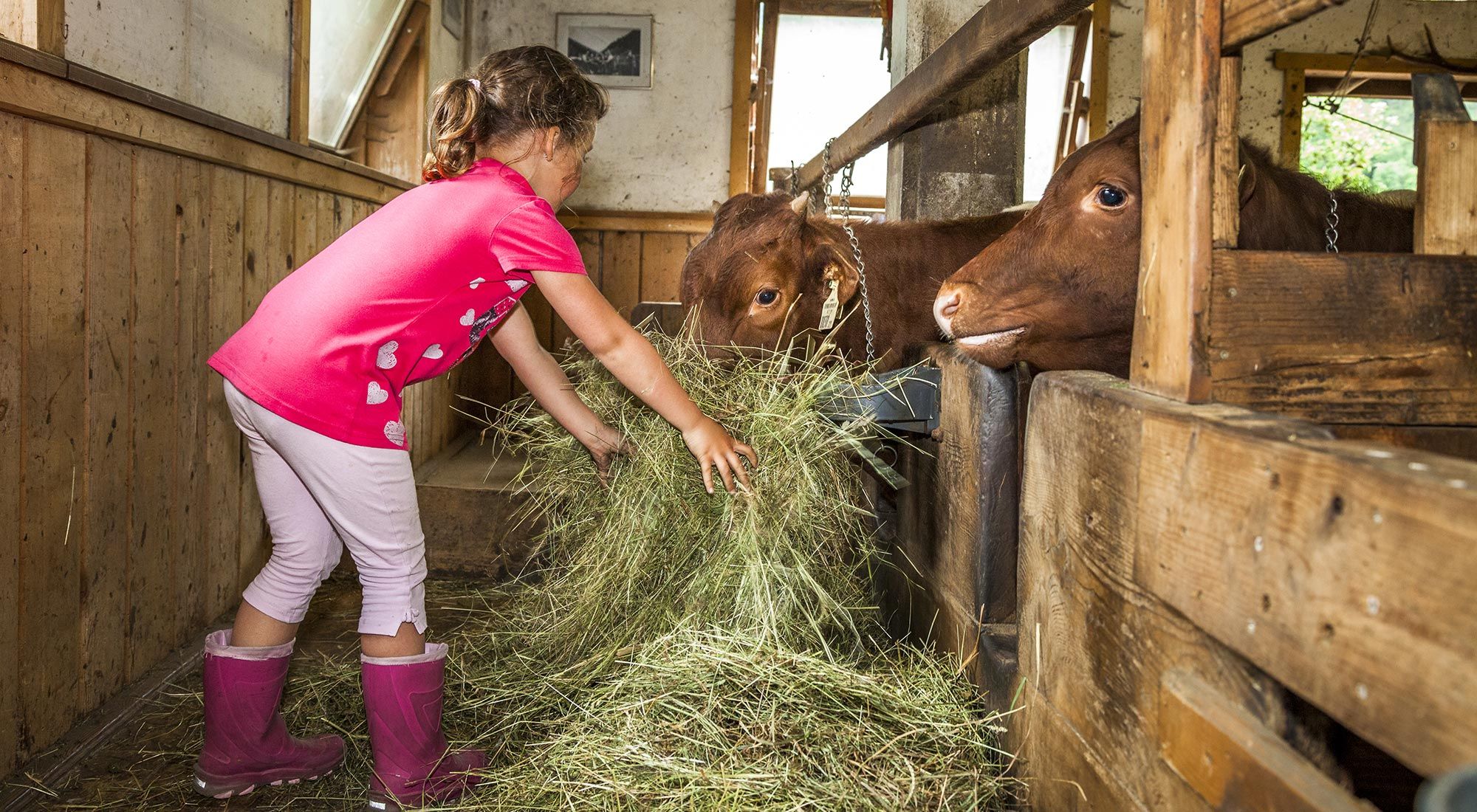  Gasteiner Bergappartement Hohe Tauern - 