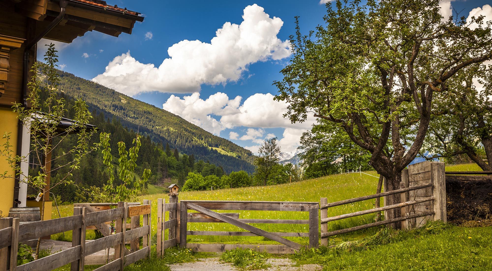  Gasteiner Bergappartement Hohe Tauern - 