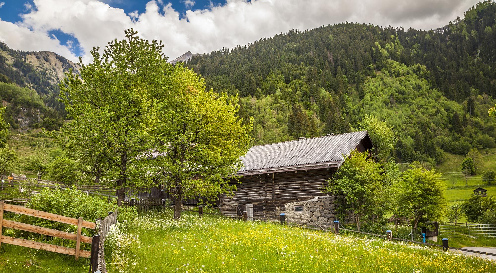  Gasteiner Bergappartement Hohe Tauern - 