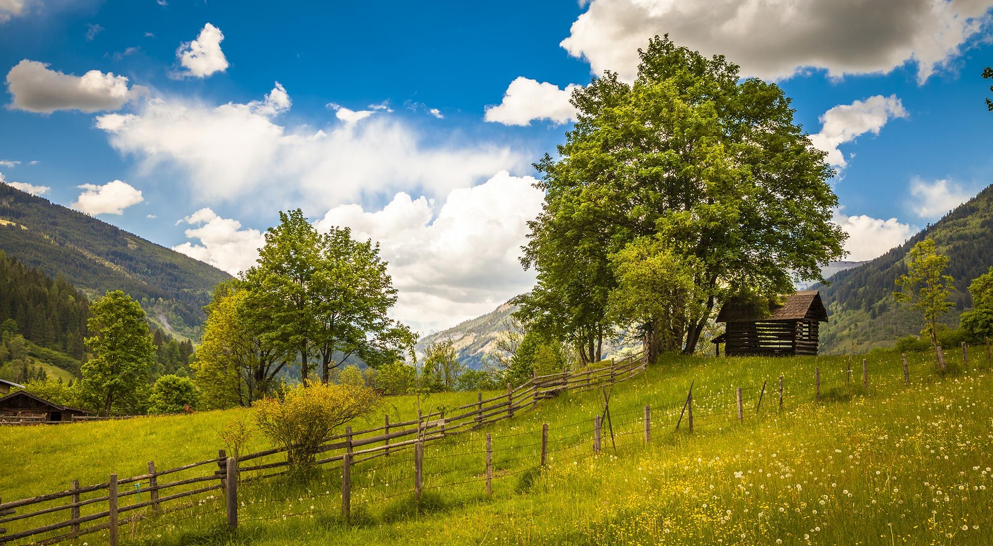  Gasteiner Bergappartement Hohe Tauern - 