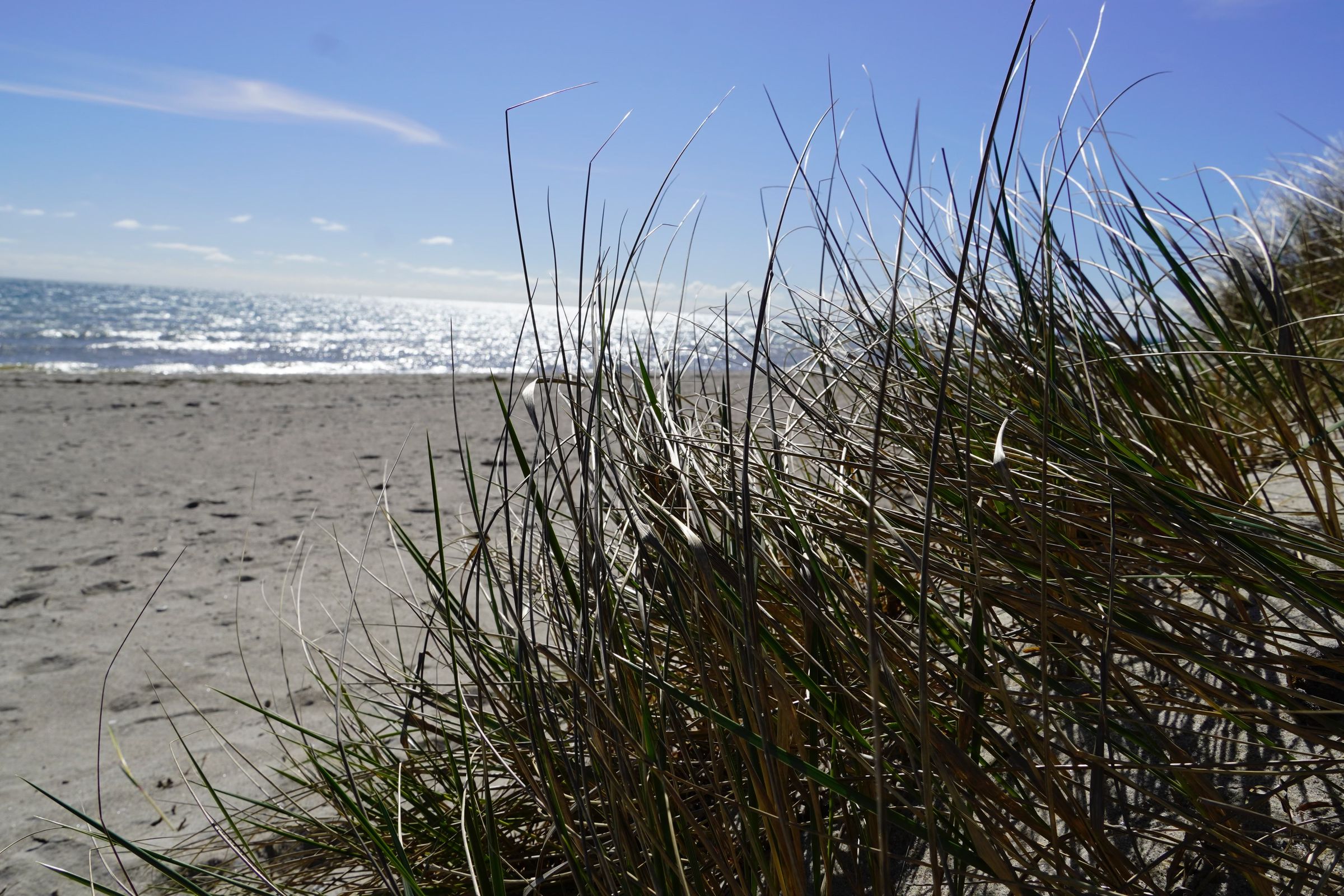 Strand