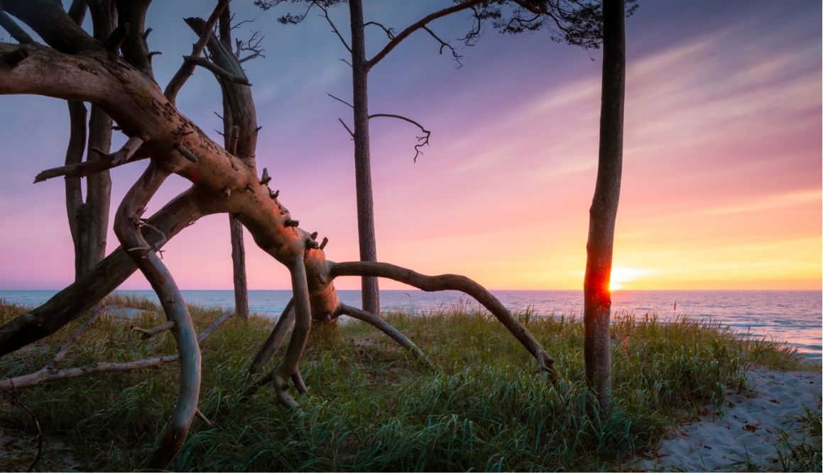 Die wichtigsten Fakten