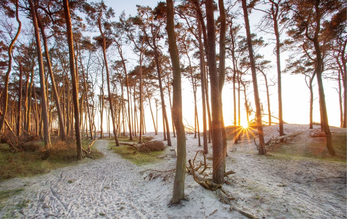 Spektakuläre Landschaften