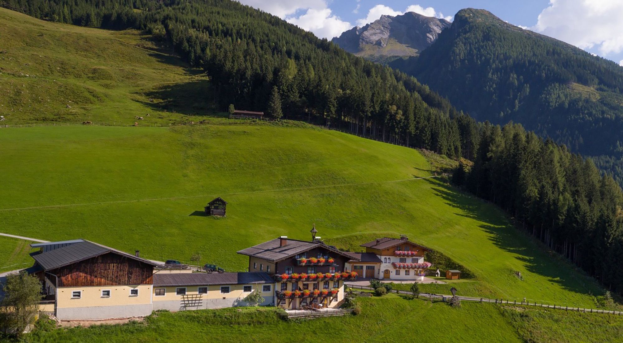 Schachengut Appartement | Bad Gastein Appartment Palfnersee | Gasteinertal | Salzburg Hohe Tauern - 