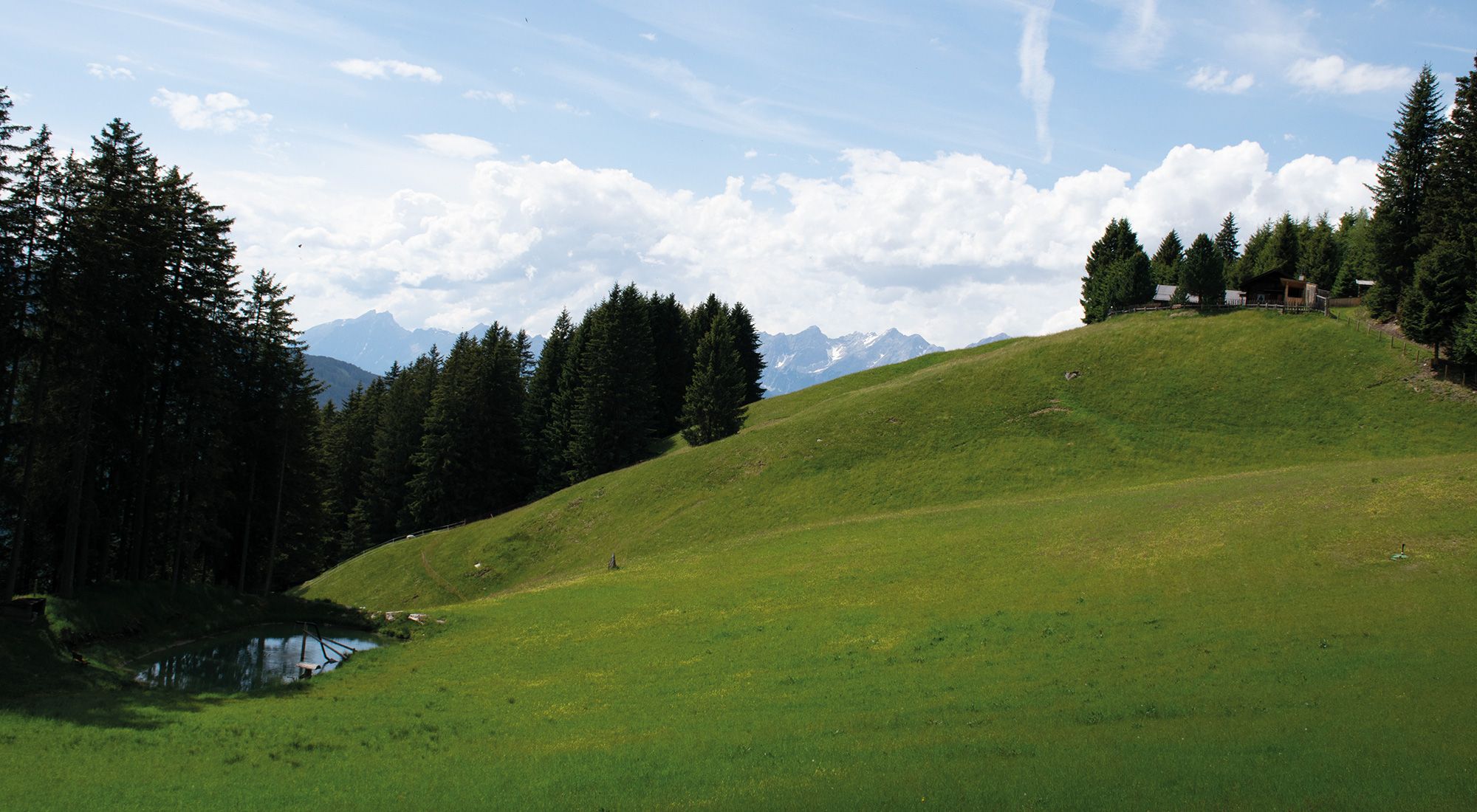  Gilferthütte | Tuxer Alpen | Tirol Nordtirol - Gartenblick