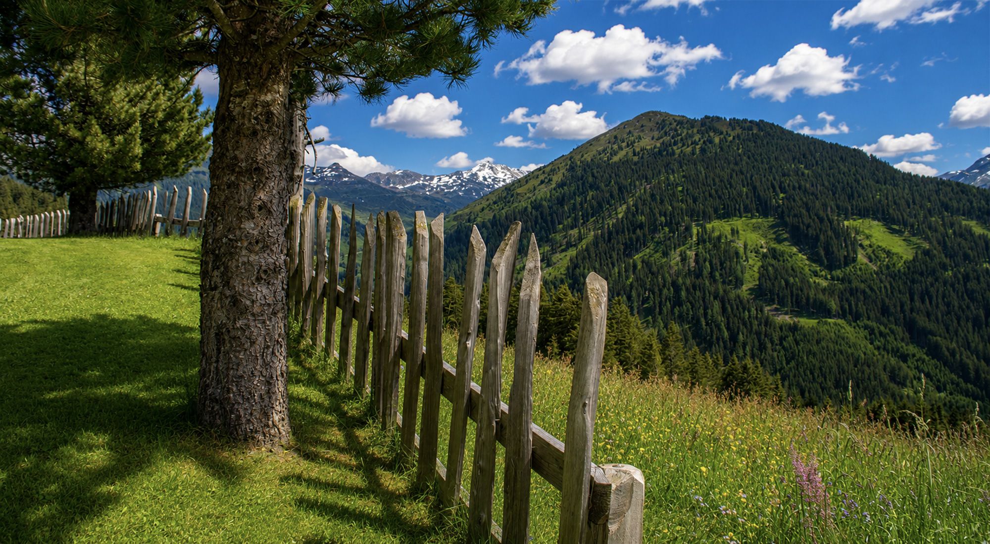  Gilferthütte | Tuxer Alpen | Tirol Nordtirol - Gartenblick