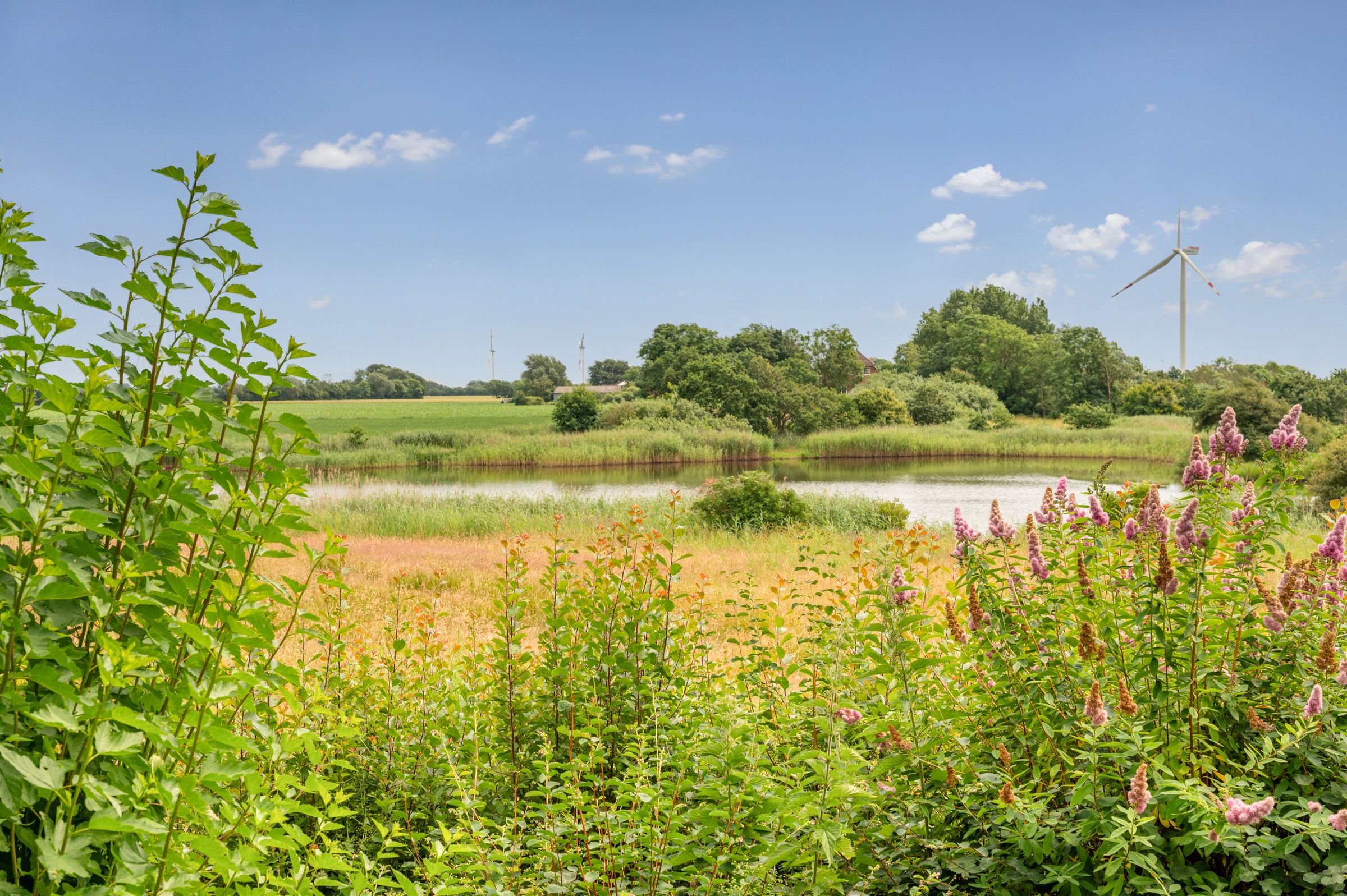 Haus am See 2