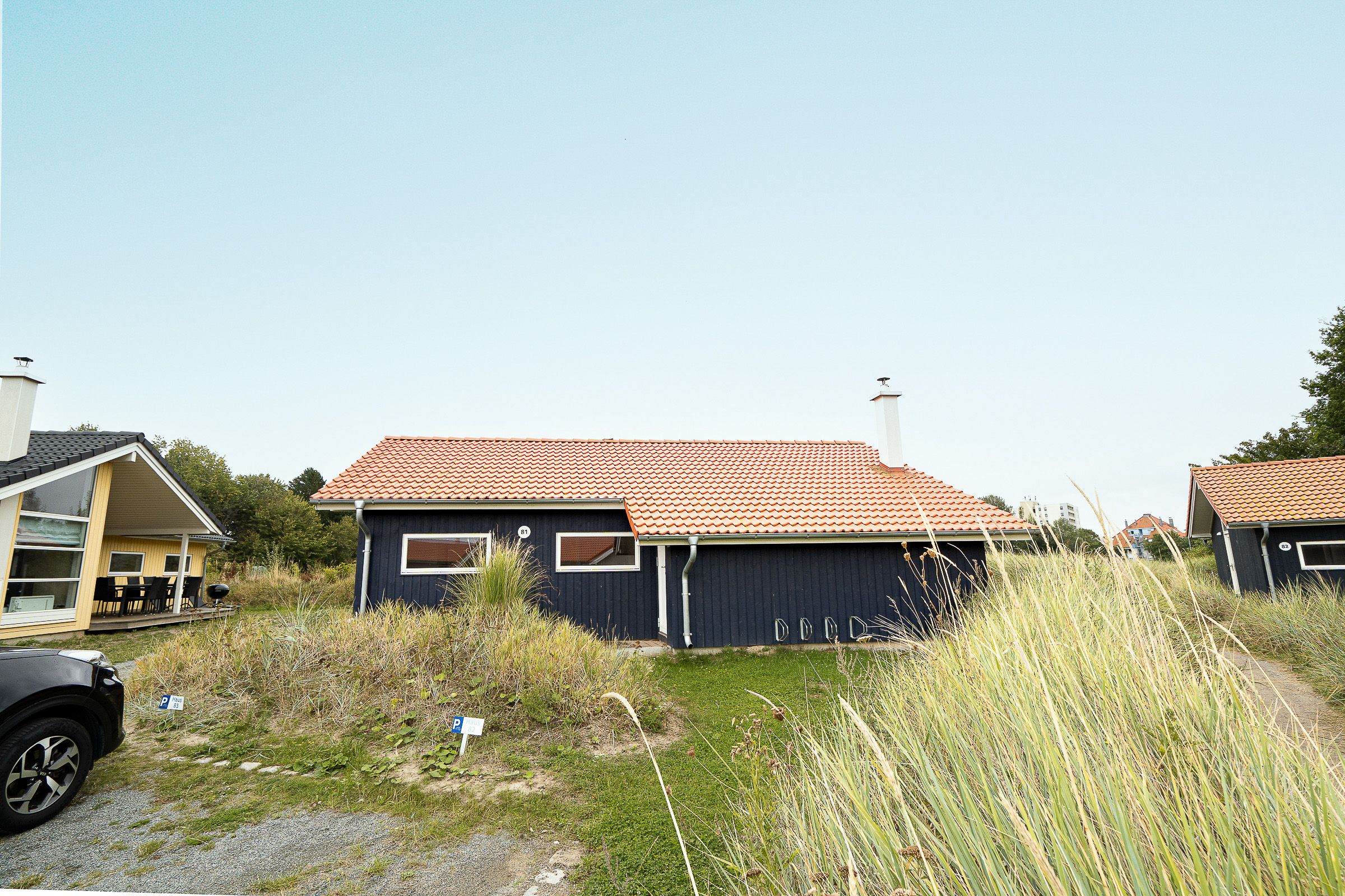 Main view