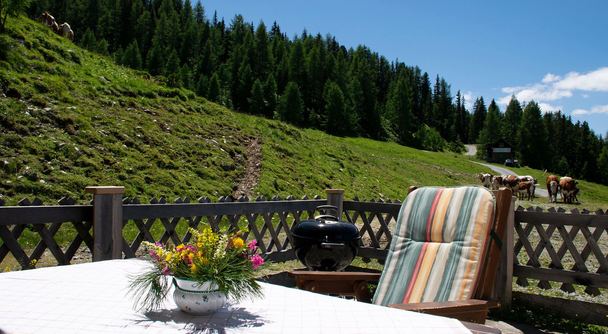  Gasteinerhütte im Zirbenwald | Bad Gastein | Salzburg Hohe Tauern - Terrasse