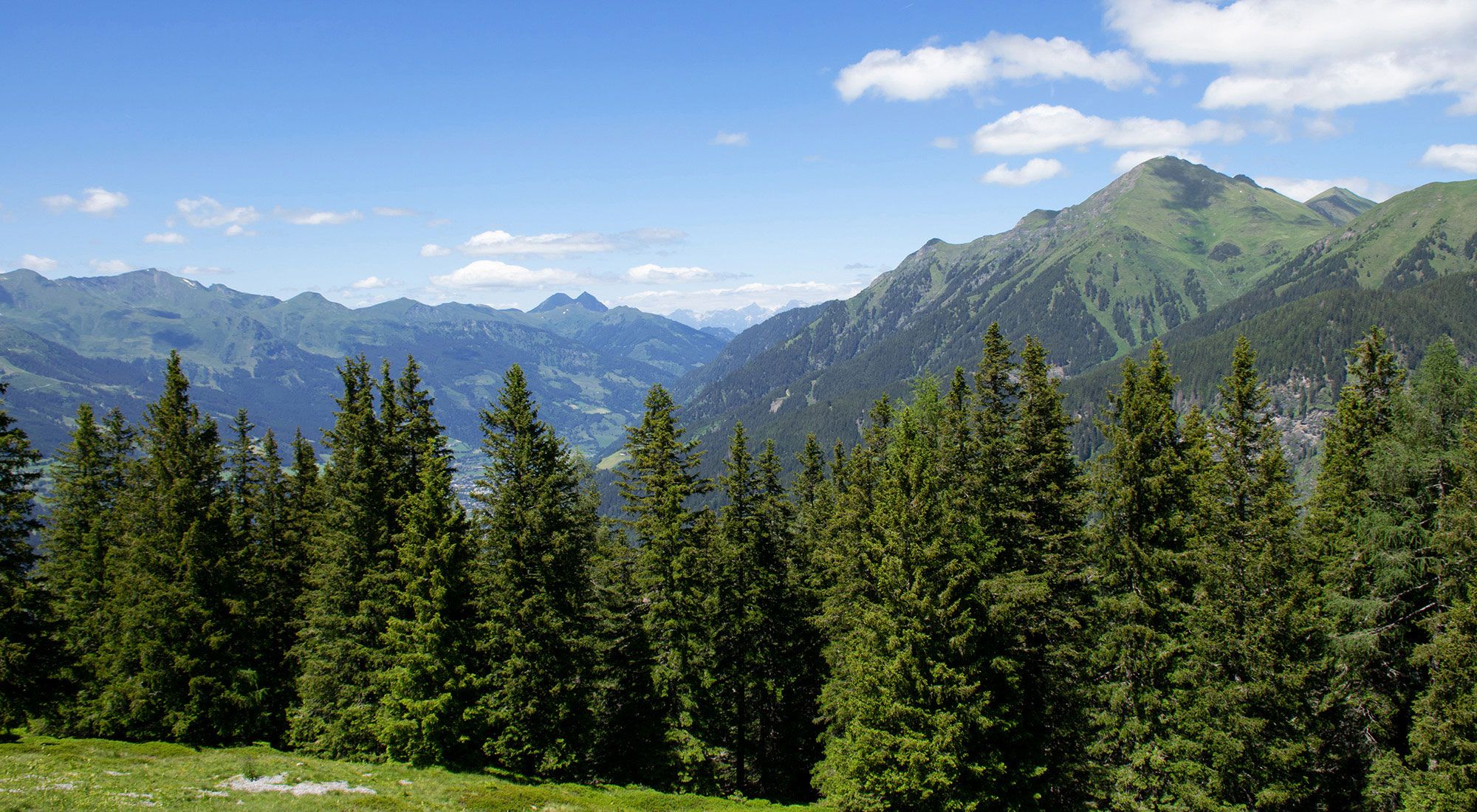  Gasteinerhütte im Zirbenwald | Bad Gastein | Salzburg Hohe Tauern - Berge