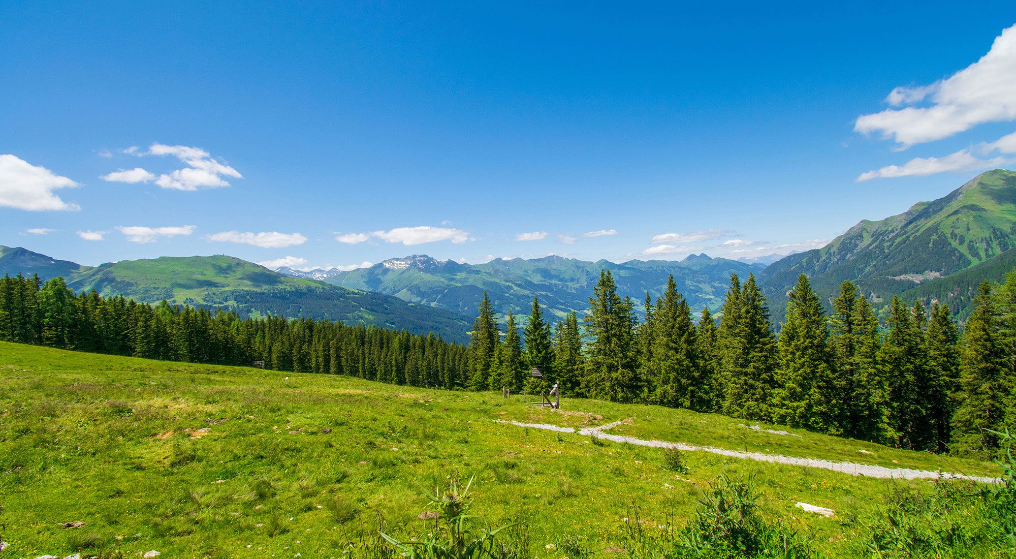  Gasteinerhütte im Zirbenwald | Bad Gastein | Salzburg Hohe Tauern - Landschaft