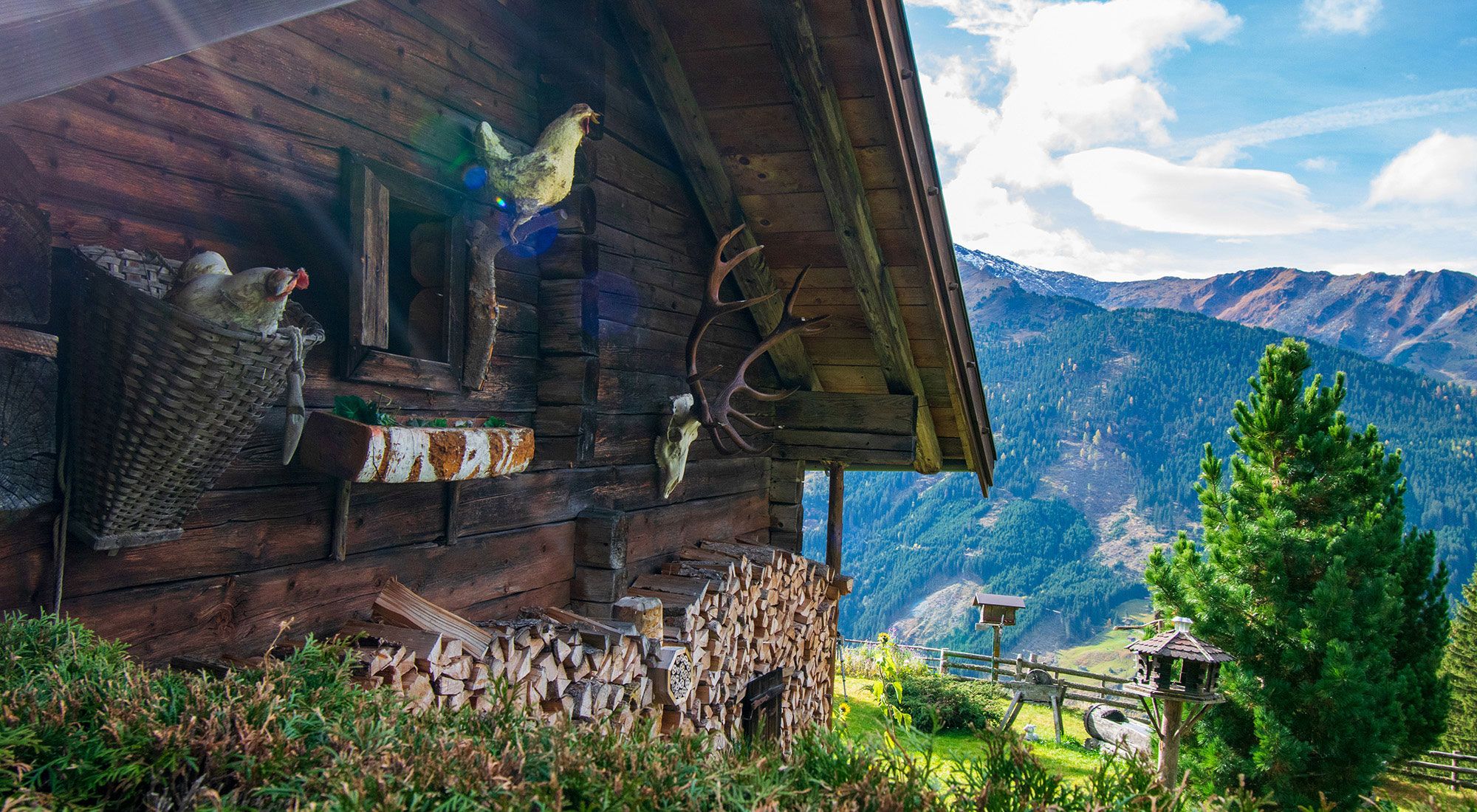  Gilferthütte | Tuxer Alpen | Tirol Nordtirol - Hauptansicht
