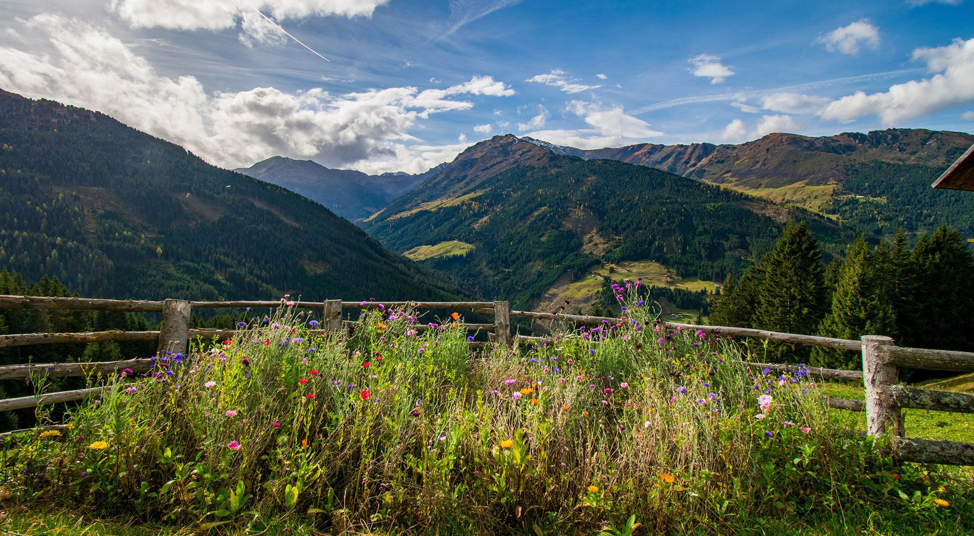  Gilferthütte | Tuxer Alpen | Tirol Nordtirol - Berge