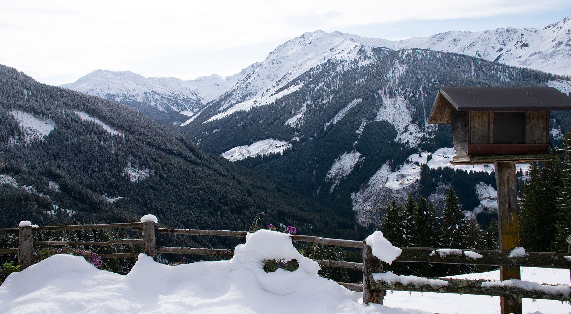  Gilferthütte | Tuxer Alpen | Tirol Nordtirol - Garten