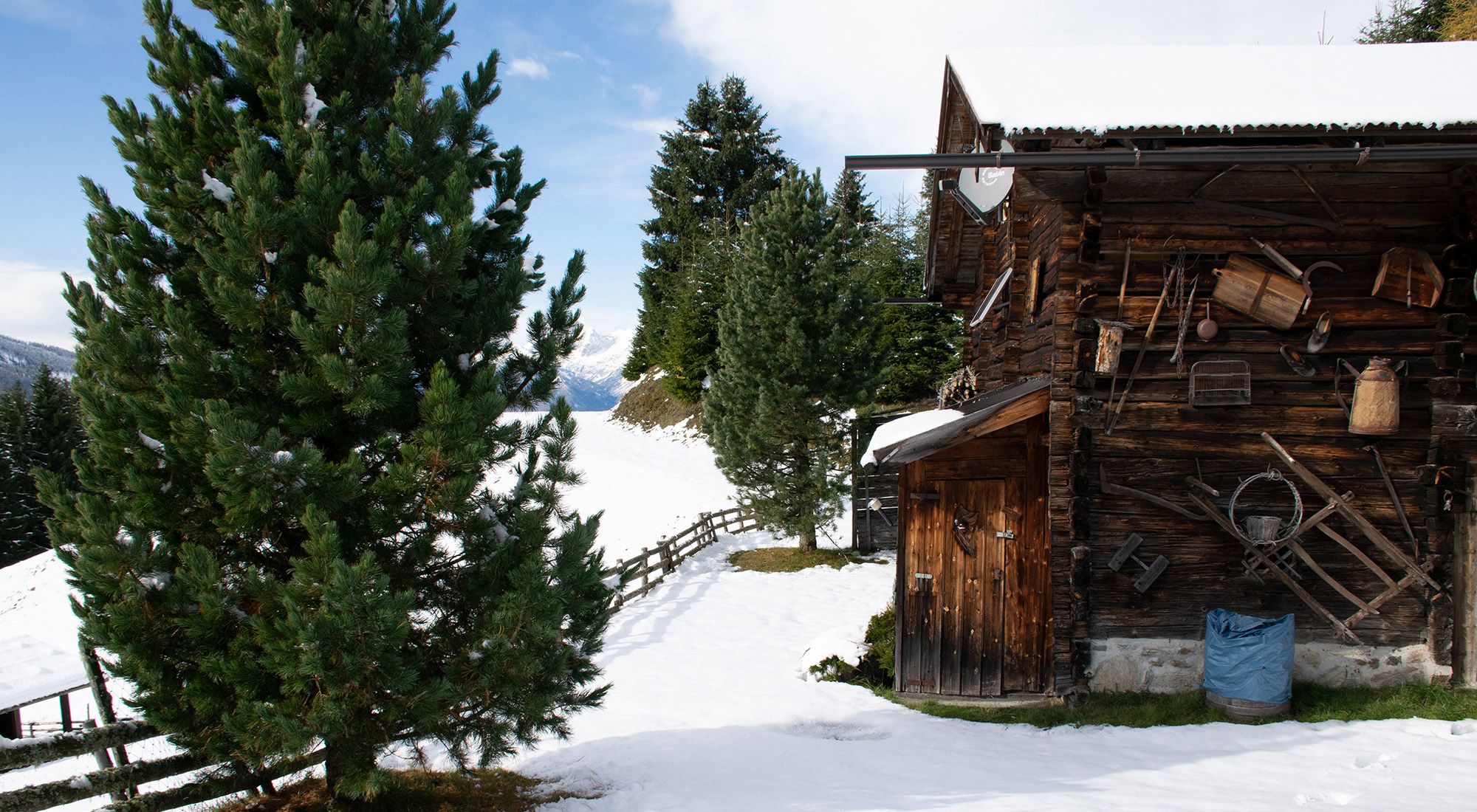 Gilferthütte | Tuxer Alpen | Tirol Nordtirol - Garten